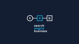 Search Engine Business